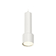 Подвесной светильник Ambrella Light Techno Spot XP8110001 (A2301, C6355, A2101, C8110, N8112)
