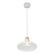 Подвесной светильник iLamp Puro AP9006-1D WH