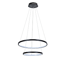 Подвесной светильник Arte Lamp Frodo A2197SP-2BK