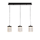 Подвесной светильник Delight Collection MD25020403-3B1 Matt black