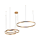 Подвесной светодиодный светильник Loft IT Ring 10017/3M