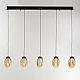 Подвесной светильник Delight Collection MD25090022-5B matt black/champagne
