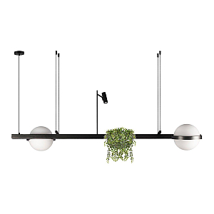 Подвесной светильник Loft IT Jardin 10121/D