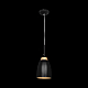Подвесной светильник Loft IT Watchman Loft4402A-Bl