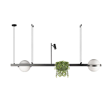 Подвесная люстра Loft IT Jardin 10121/D Dark grey