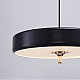 Подвесной светильник DeLight Collection Revolve 9187P black/gold