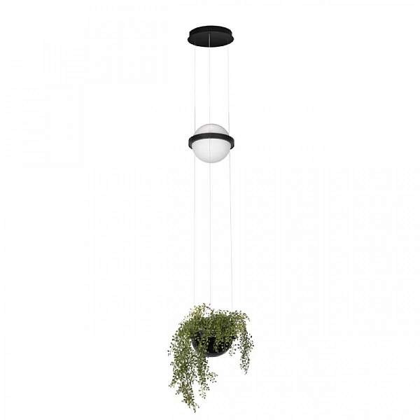Подвесной светильник LOFT IT Jardin 10121/B