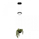 Подвесной светильник LOFT IT Jardin 10121/B