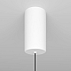 Подвесной светильник Maytoni Ray P022PL-L20W3K