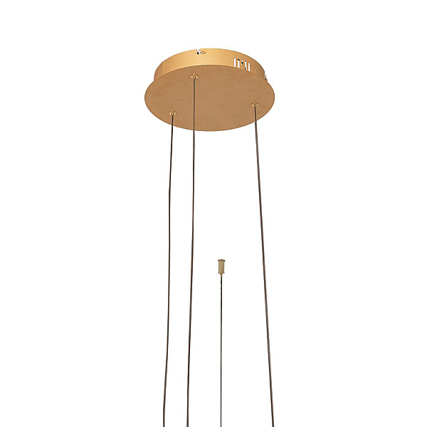 Подвесной светодиодный светильник Loft IT Ring 10017/3L