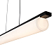 Подвесной светильник Freya Modern Even FR5625PL-L45B
