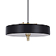 Подвесной светильник DeLight Collection Revolve 9187P black/gold