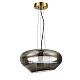 Подвесной светодиодный светильник ST Luce Foray SL6019.313.01