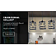 Подвесной светильник Ambrella light Traditional TR8403