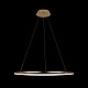 Подвесной светодиодный светильник Loft IT Ring 10014L