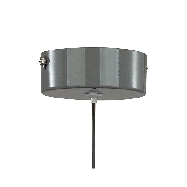Подвесной светодиодный светильник Lumion Ledio Globe 6569/6L