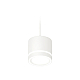 Комплект подвесного светильника Ambrella Light Techno Spot XP8110021 (A2331, C8110, N8433)