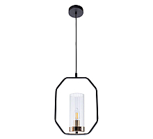 Подвесной светильник Arte Lamp Celaeno A7004SP-1BK