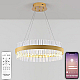 Подвесной светодиодный светильник Natali Kovaltseva Smart Нимбы Innovation Style 83010
