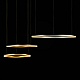 Подвесной светодиодный светильник Loft IT Ring 10017/3L