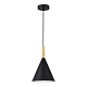 Подвесной светильник ST Luce Arket SLE1255-403-01
