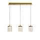 Подвесной светильник Delight Collection MD25020403-3B2 Satin gold