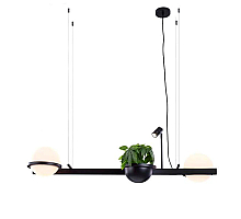 Подвесной светильник Delight Collection 10228P/S black