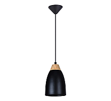Подвесной светильник Toplight Leah TL0724H-2B