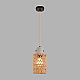 Подвесной светильник Lumion Boho Eco 8366/1A