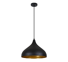 Подвесной светильник Arte Lamp Carmel A7076SP-1BK