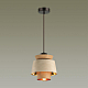 Подвесной светильник Odeon Light Kressa 4992/1