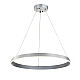Подвесной светодиодный светильник Indigo Orta 14019/1P Silver V000091L