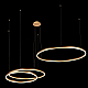 Подвесной светодиодный светильник Loft IT Ring 10017/3L