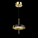 Подвесной светильник DeLight Collection MD18001061-1A  black/gold