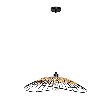 Подвесной светильник Arte Lamp Woodstock A7061SP-1BK
