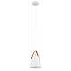 Подвесной светильник Arte Lamp THOMAS A7032SP-1WH