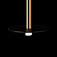 Подвесной светодиодный светильник Loft IT Reed 10358/830 Disk AB