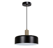 Подвесной светильник Arte Lamp Skat A7052SP-1BK