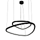Подвесной светодиодный светильник Arte Lamp Madison A2194SP-2BK
