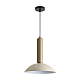 Подвесной светильник Freya Modern FR5551PL-01CR
