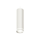 Подвесной светильник Ambrella Light Techno Spot XP8191004 (A2331, C8191, N8477)