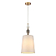 Подвесной светильник Odeon Light HOMI 5040/1A