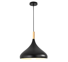 Подвесной светильник TopDecor Molto S2 12