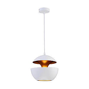 Подвесной светильник Loft IT LOFT2213-A