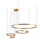 Подвесной светодиодный светильник Loft IT Ring 10017/4M