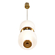 Подвесной светильник Lumion Taisha Ledio 8324/20L