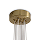Подвесной светильник Freya Modern FR5531CL-13BS