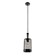 Подвесной светильник MyFar Edwin MR2464-1P