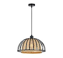 Подвесной светильник Arte Lamp Woodstock A7071SP-1BK