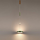 Подвесной светильник Odeon Light Riviera L-Vision 5450/32LA
